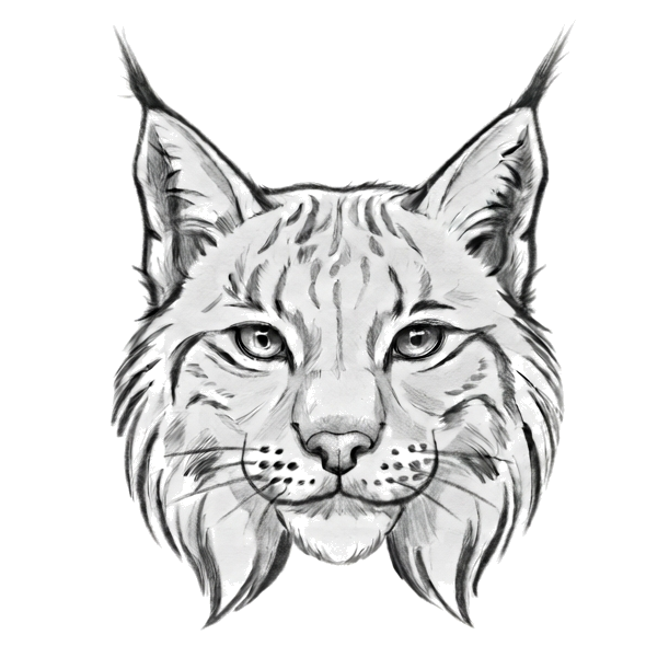 Zylynx Lynx Face